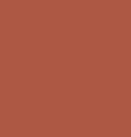 Dry Rouge Bronce - Kryolan - The Make Up Center