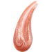 Lip Gloss - Marifer Cosmetics - The Make Up Center